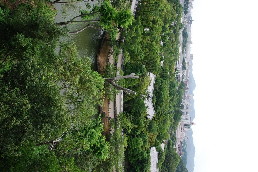 DSC_0171.JPG