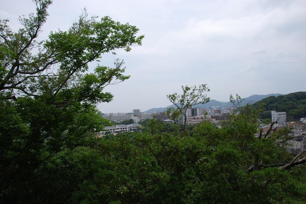 DSC_0189.JPG