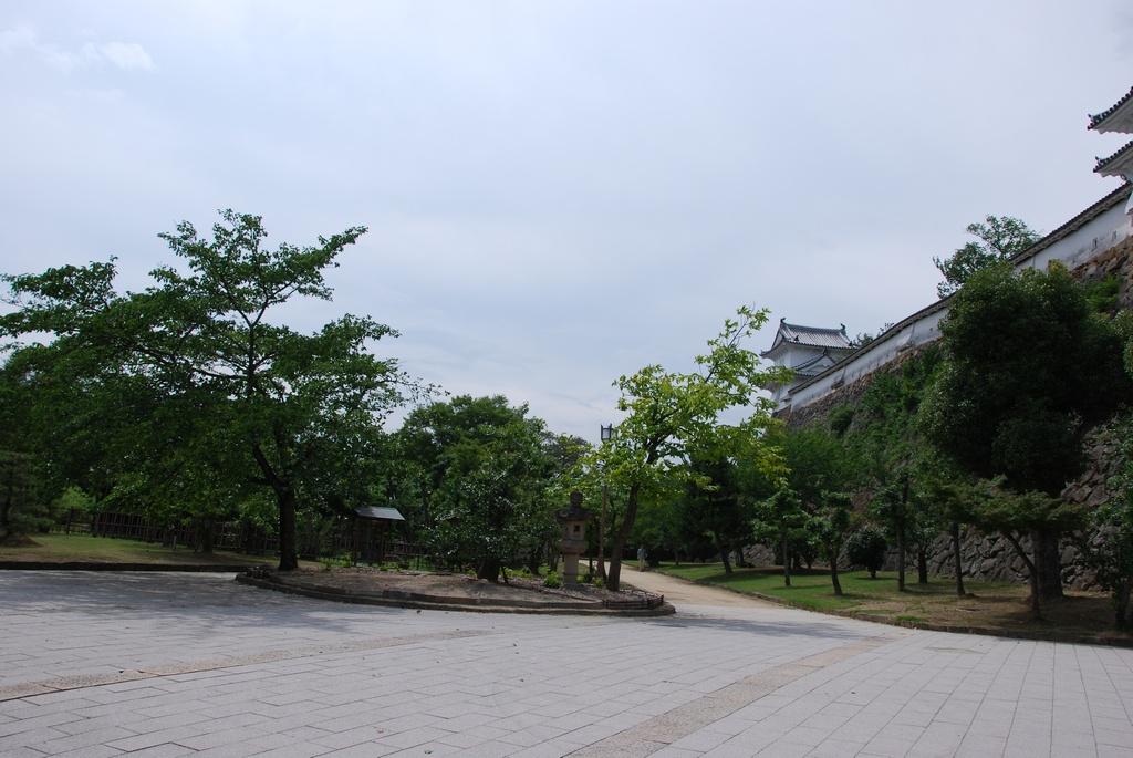 DSC_0230.JPG