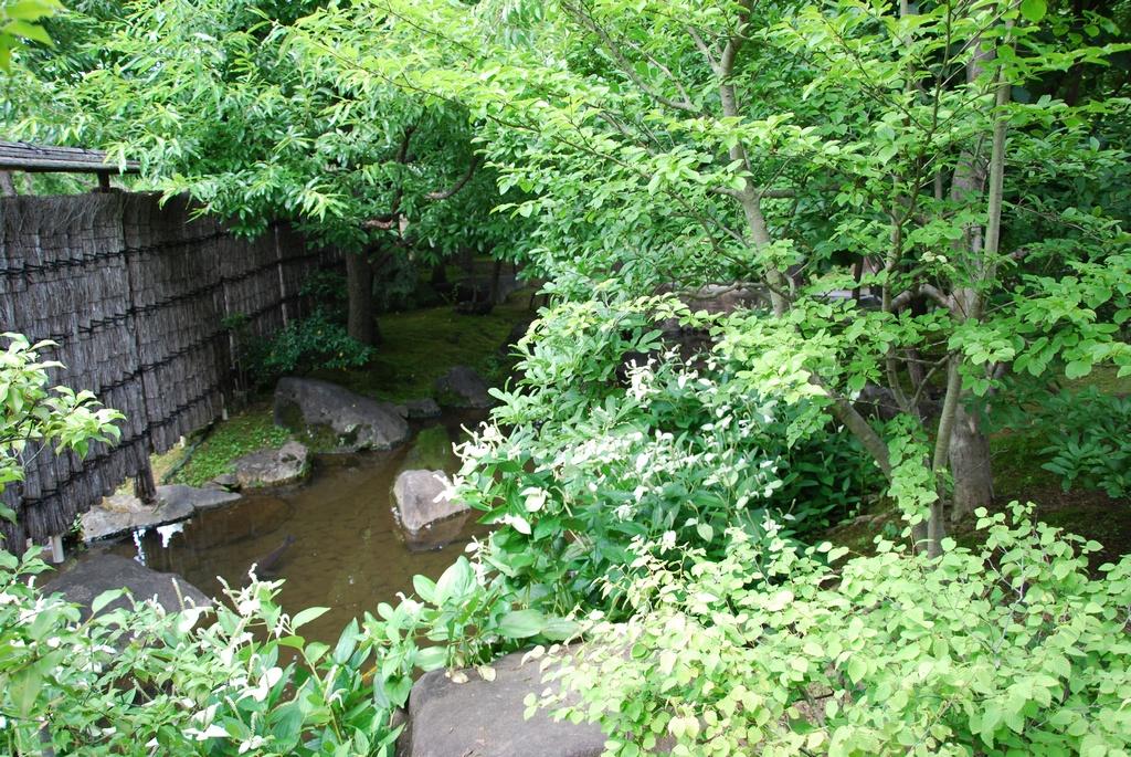 DSC_0249.JPG