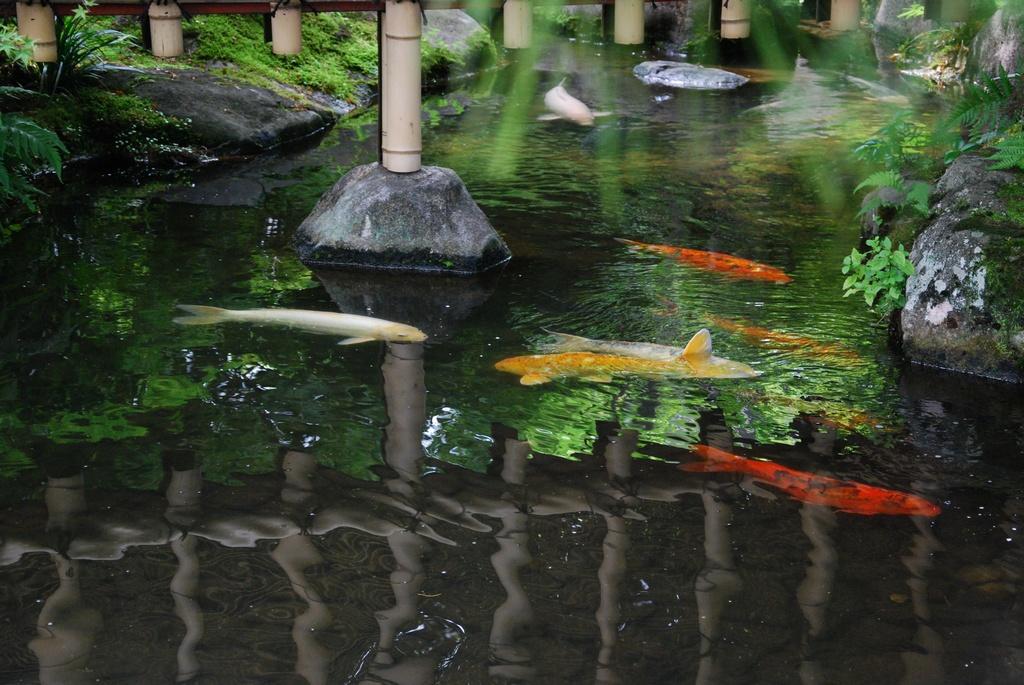 DSC_0256.JPG