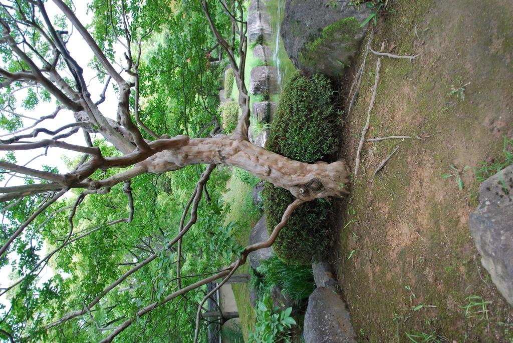 DSC_0266.JPG