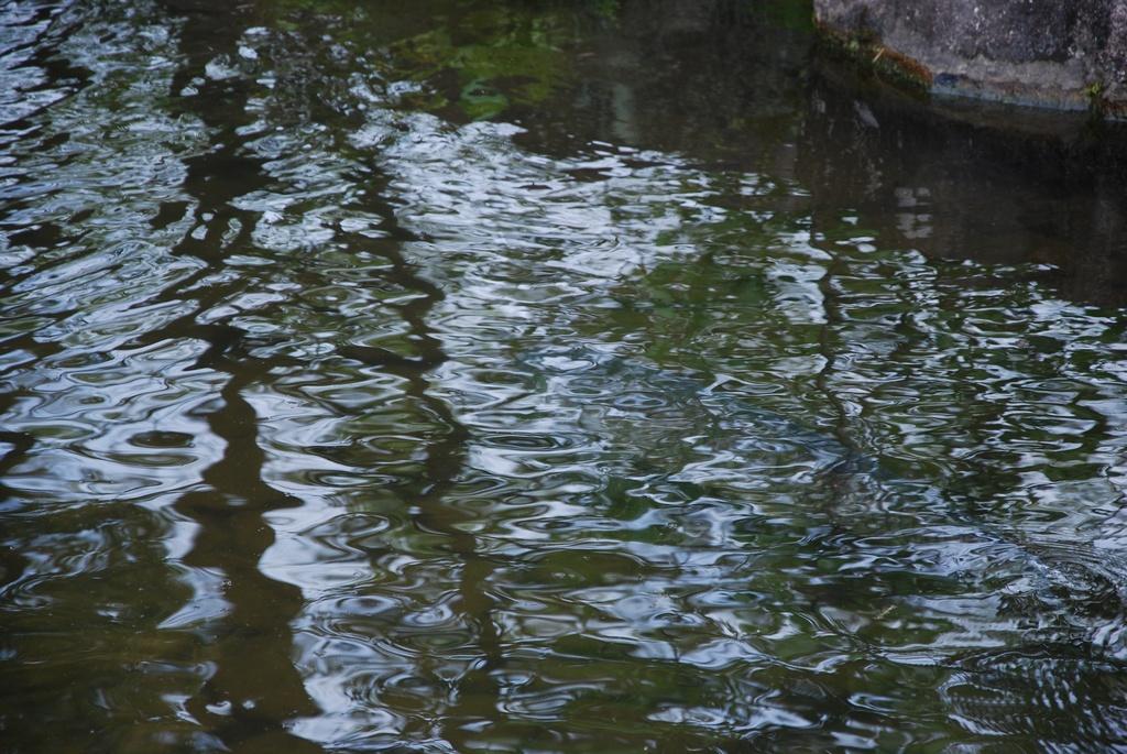 DSC_0278.JPG