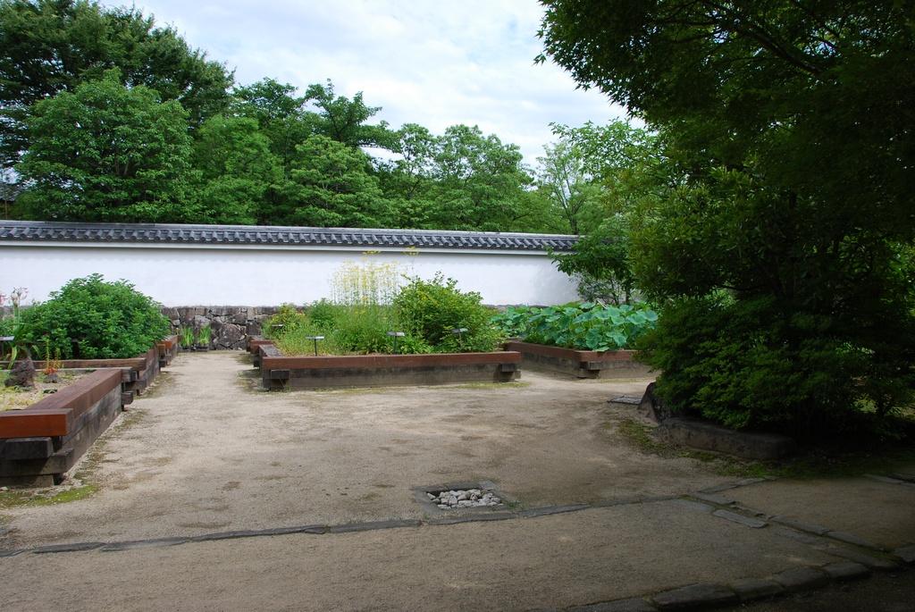 DSC_0295.JPG
