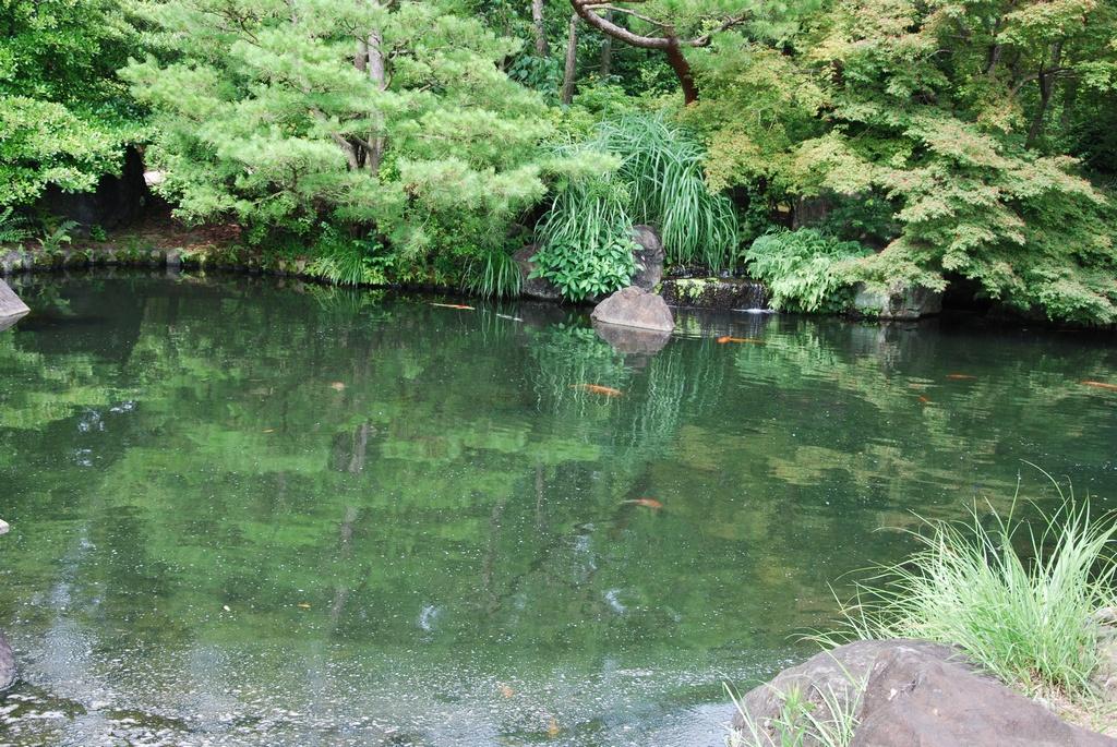 DSC_0300.JPG