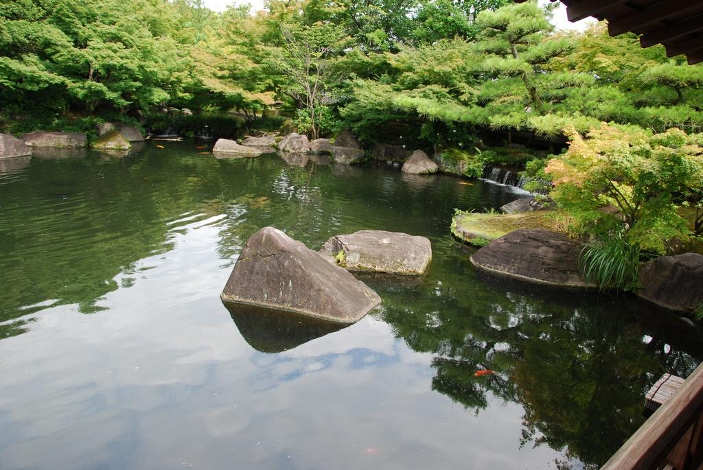 DSC_0322.JPG