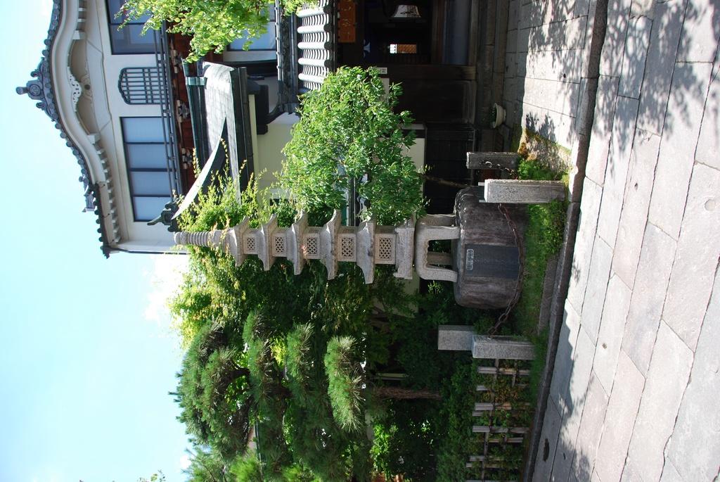 DSC_0344.JPG