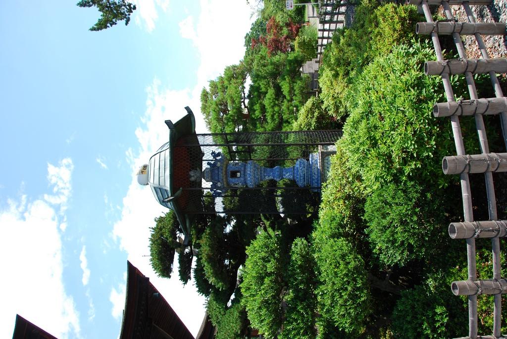 DSC_0383.JPG