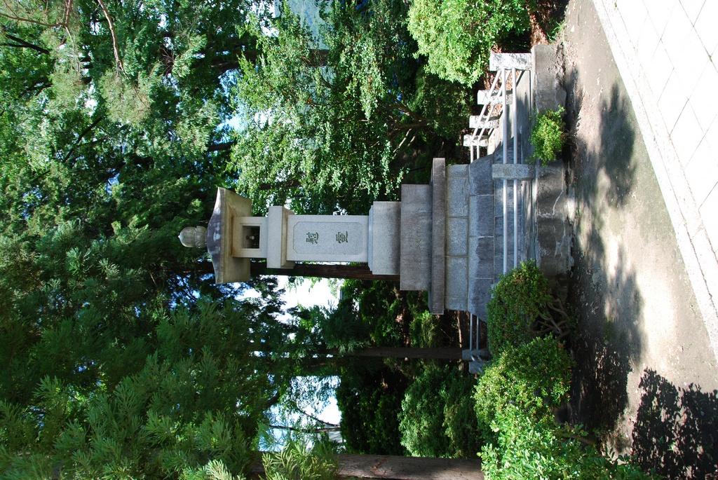 DSC_0398.JPG