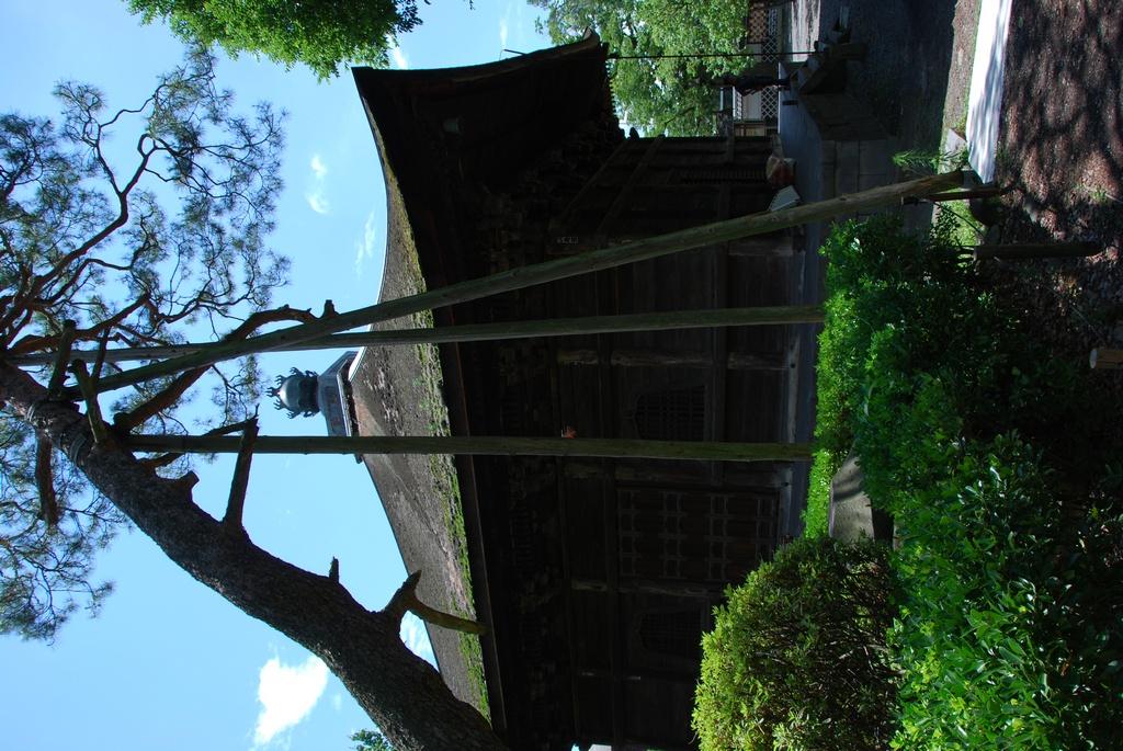 DSC_0415.JPG