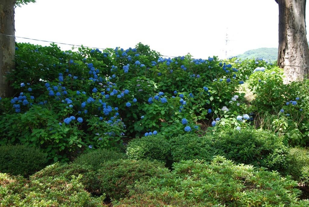 DSC_0412.JPG