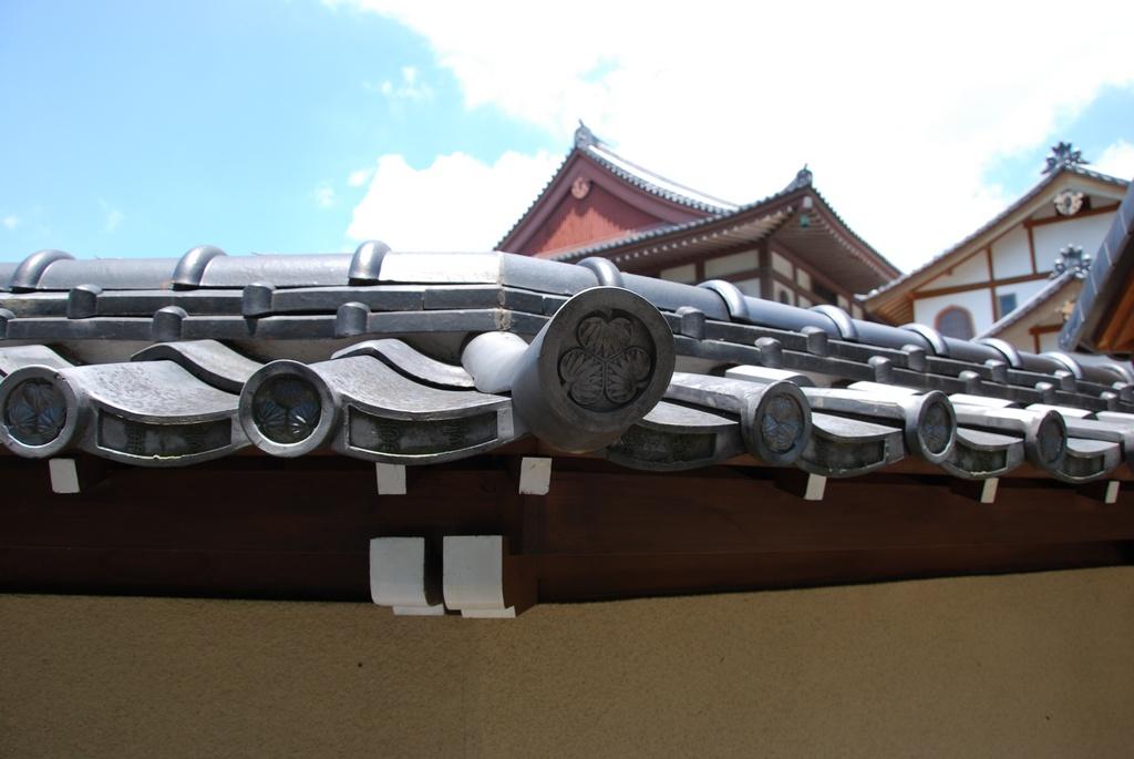 DSC_0447.JPG
