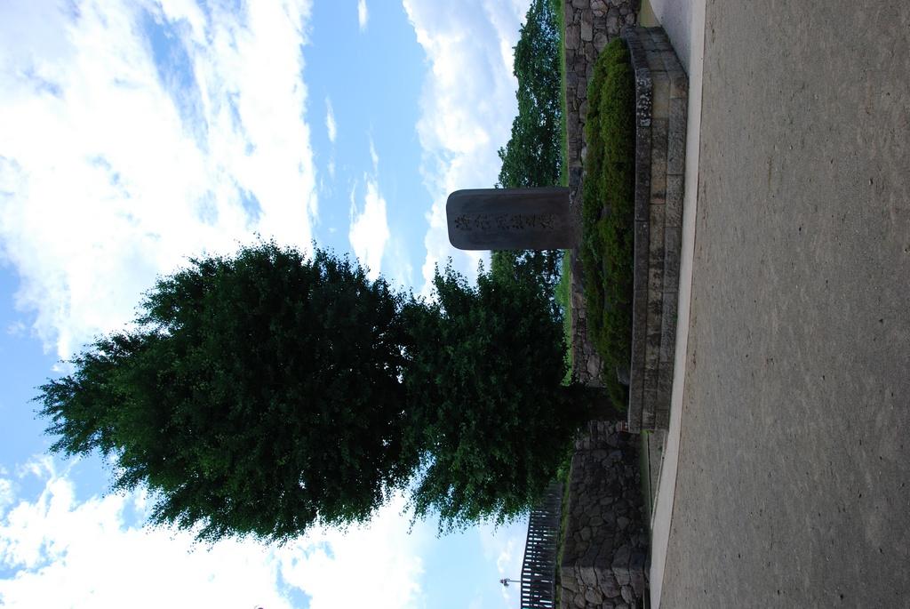 DSC_0489.JPG
