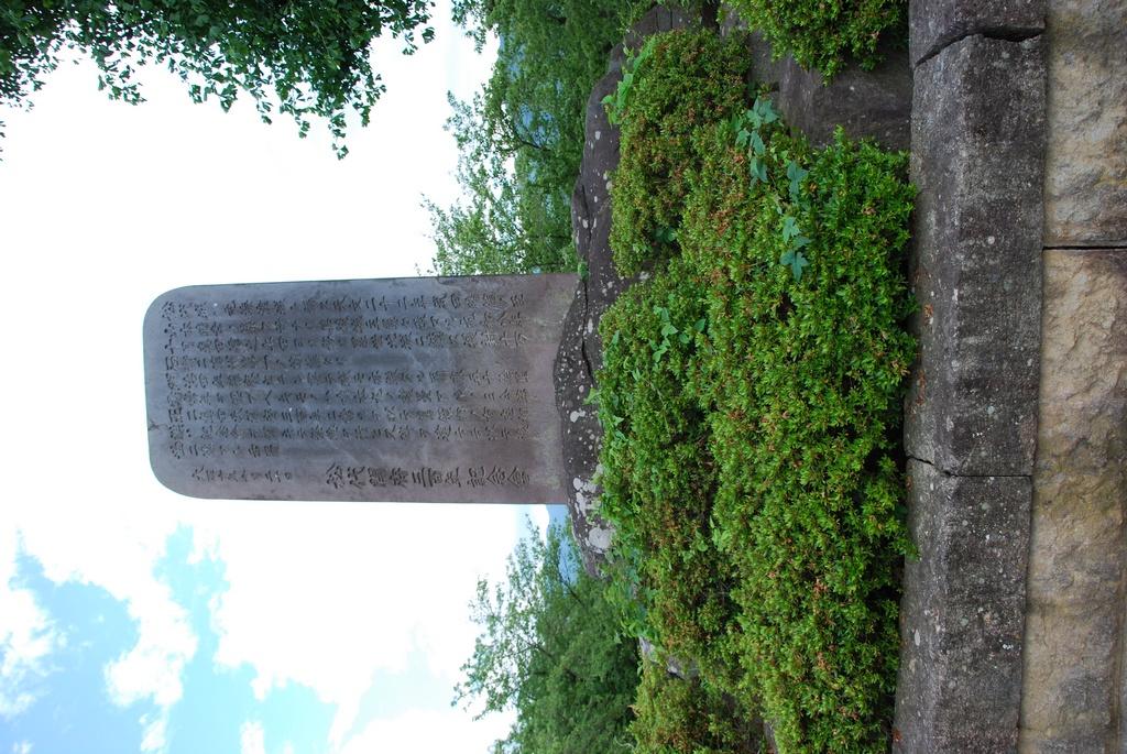 DSC_0504.JPG