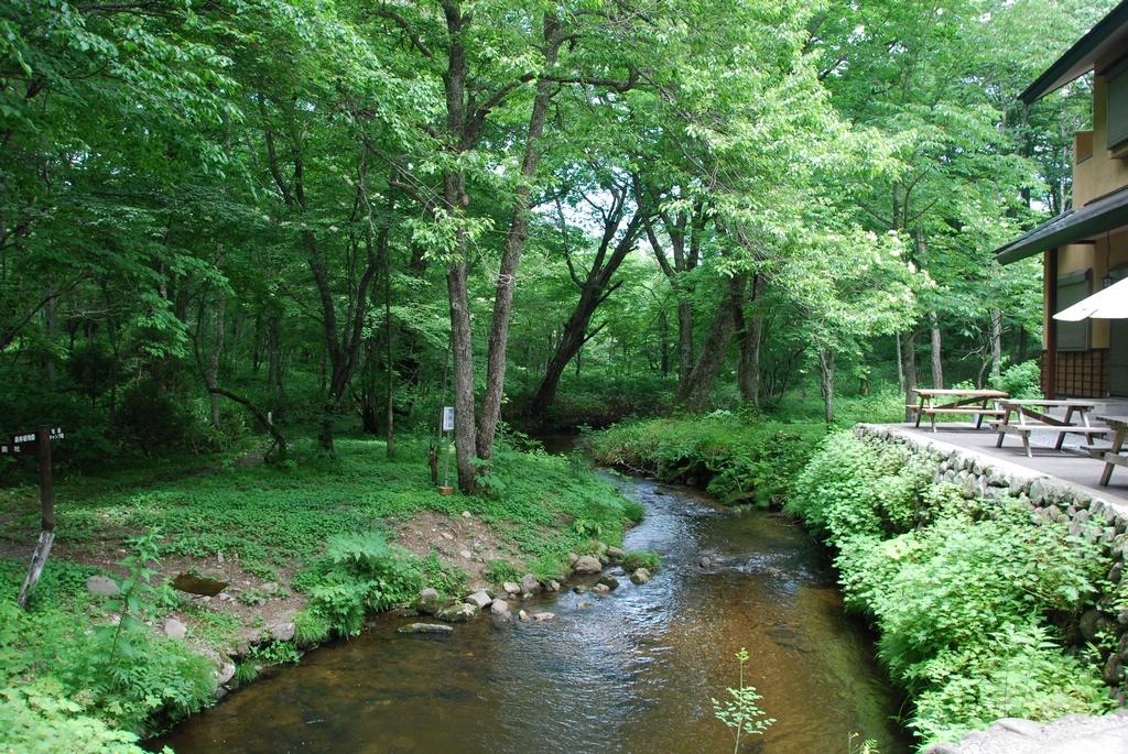 DSC_0613.JPG