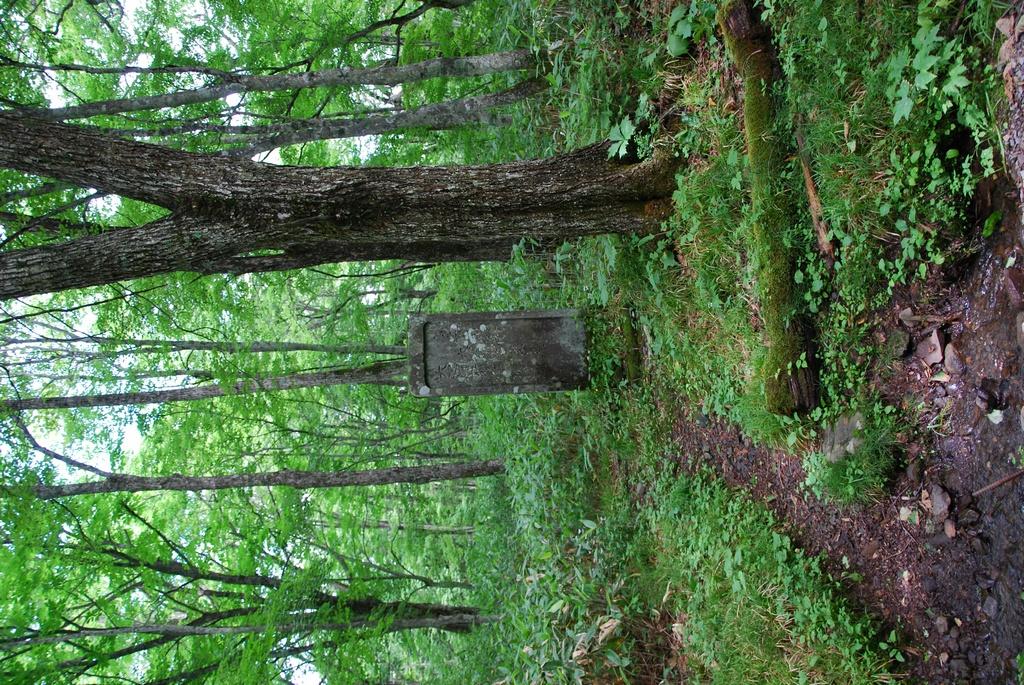 DSC_0624.JPG