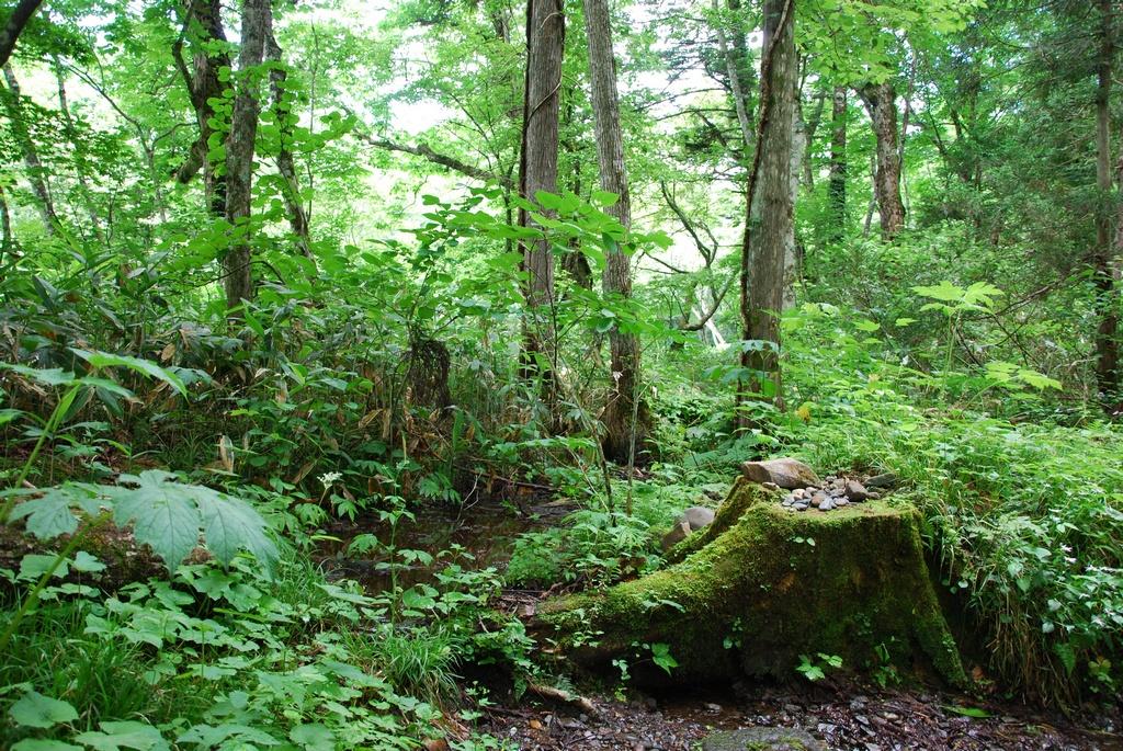 DSC_0627.JPG