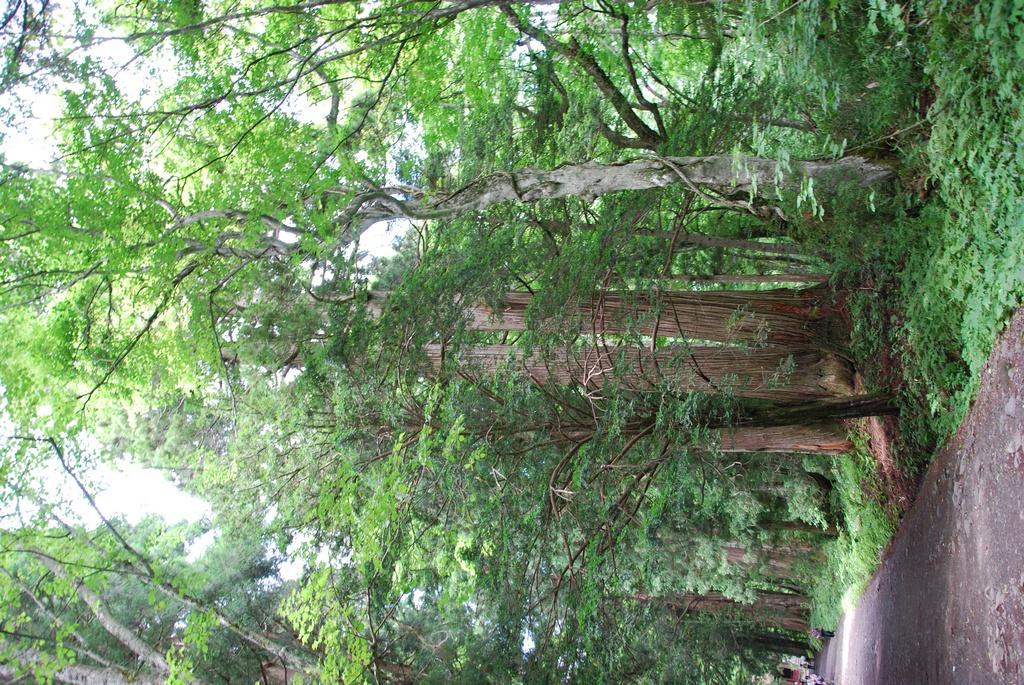 DSC_0628.JPG