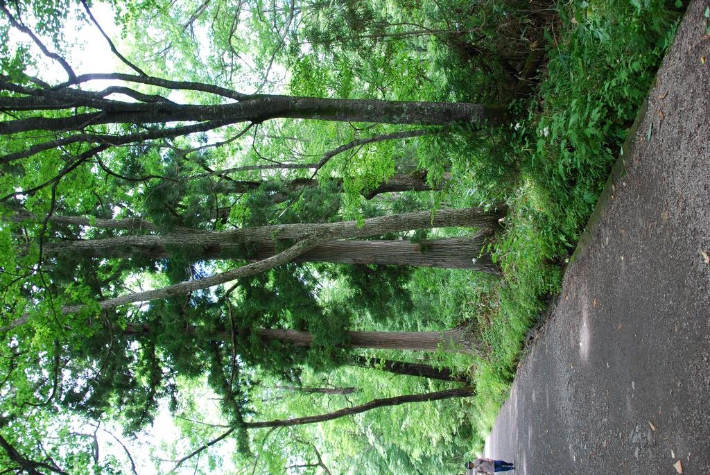 DSC_0622.JPG