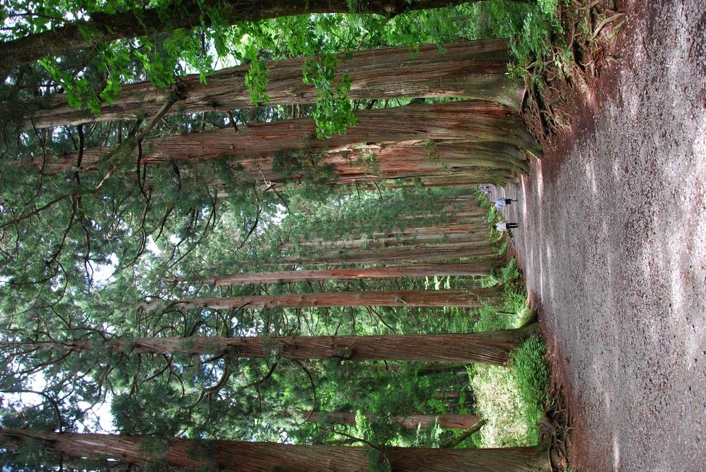 DSC_0638.JPG