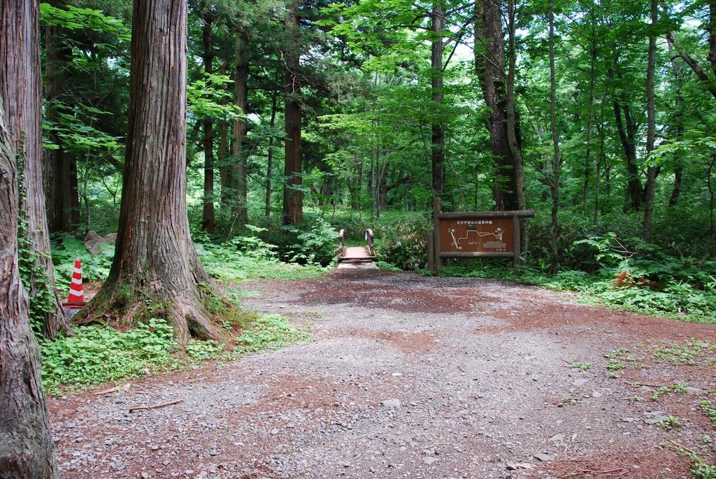 DSC_0633.JPG