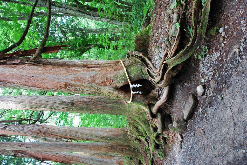 DSC_0648.JPG