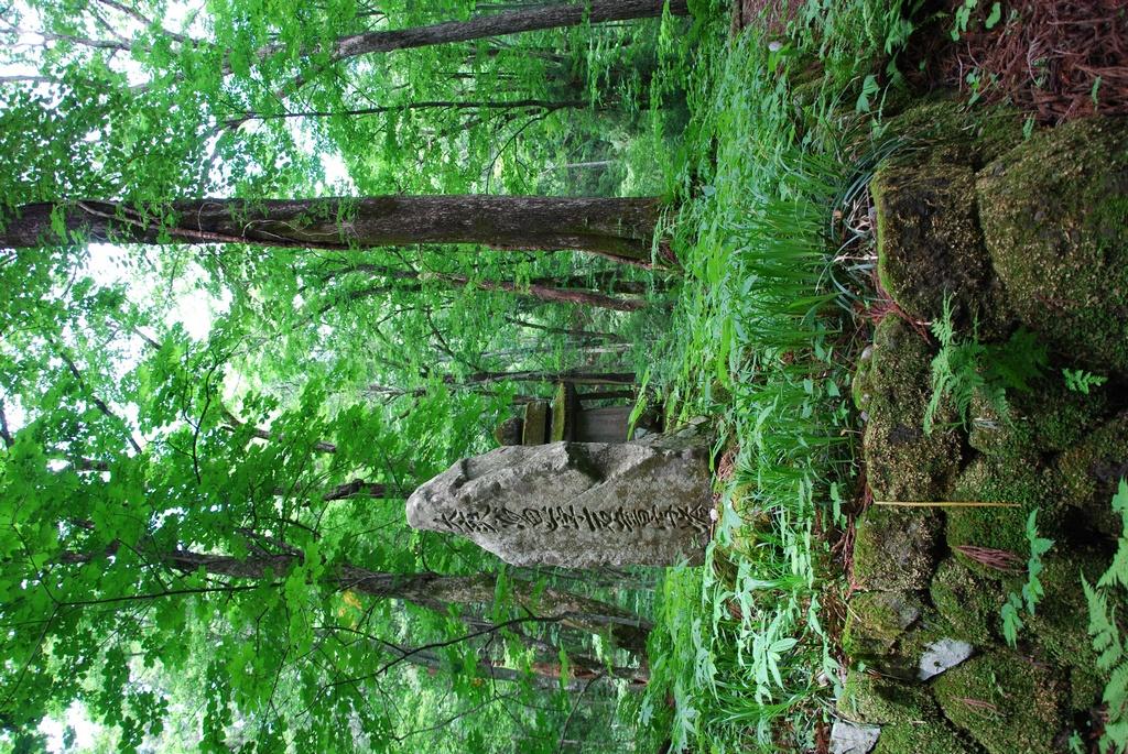 DSC_0649.JPG