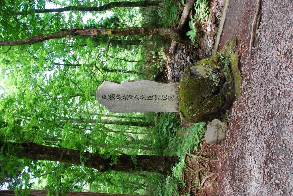 DSC_0640.JPG