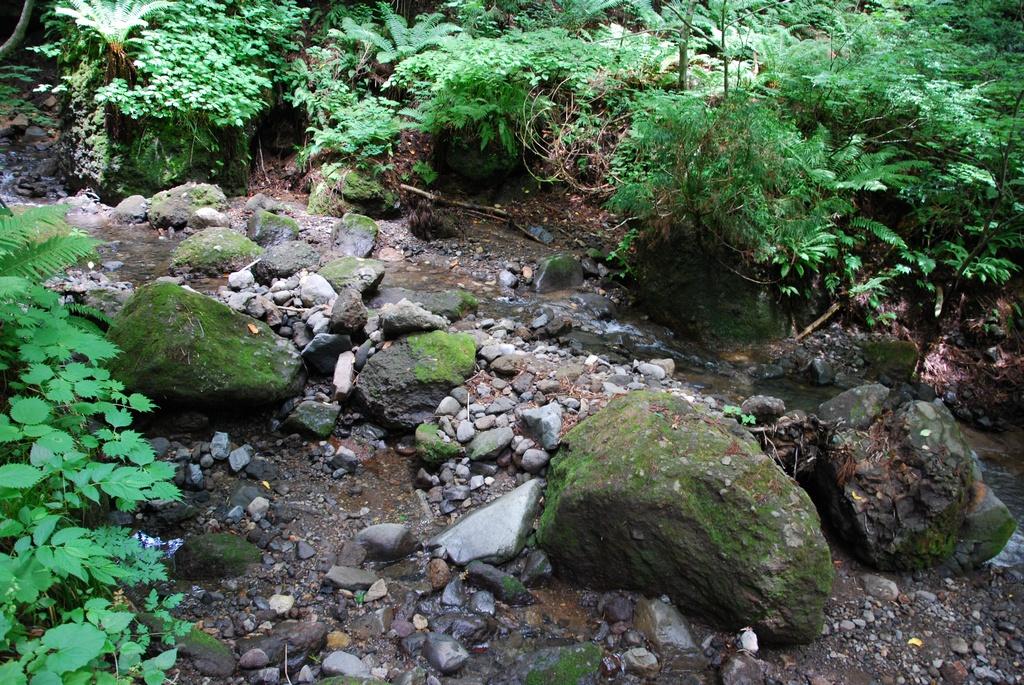 DSC_0650.JPG