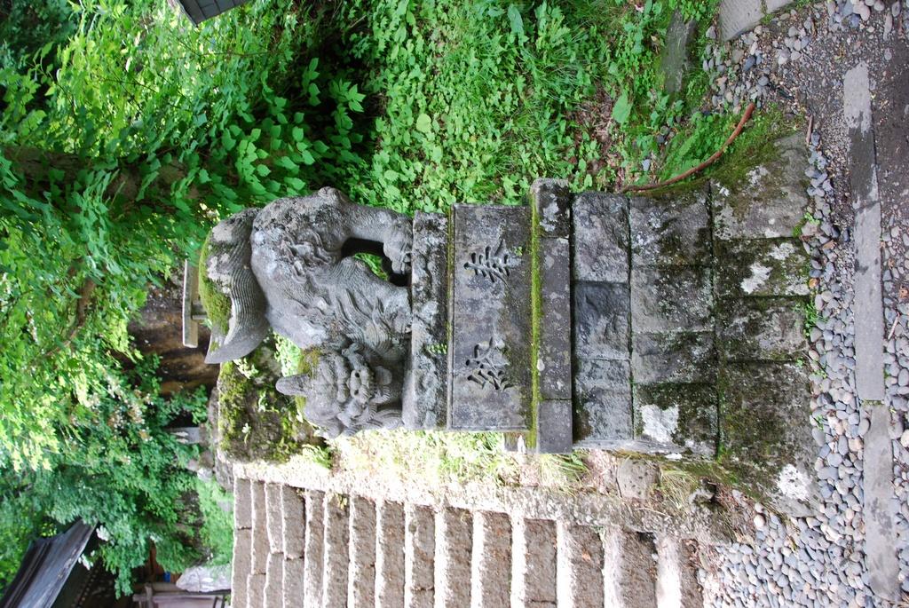 DSC_0665.JPG