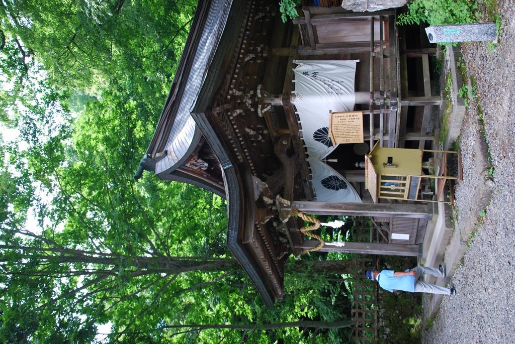 DSC_0666.JPG