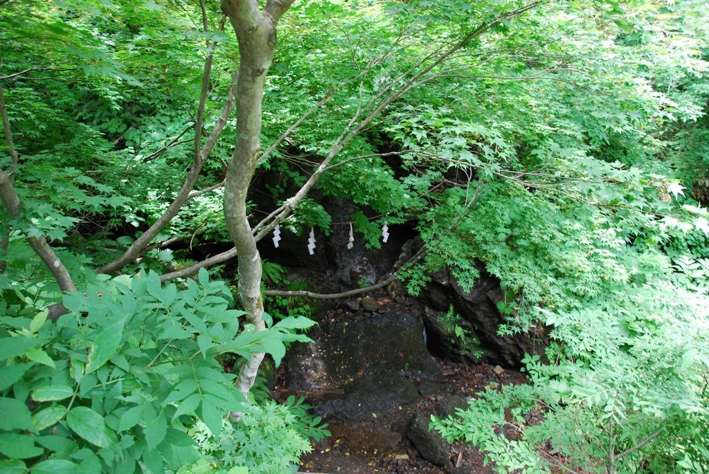 DSC_0660.JPG