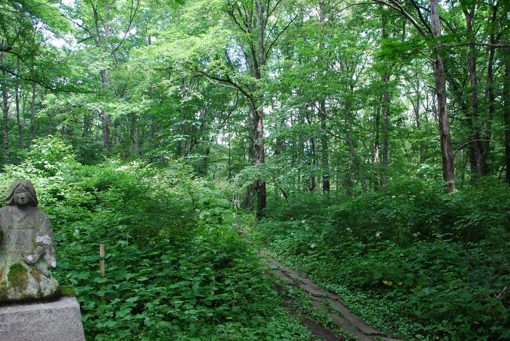 DSC_0674.JPG