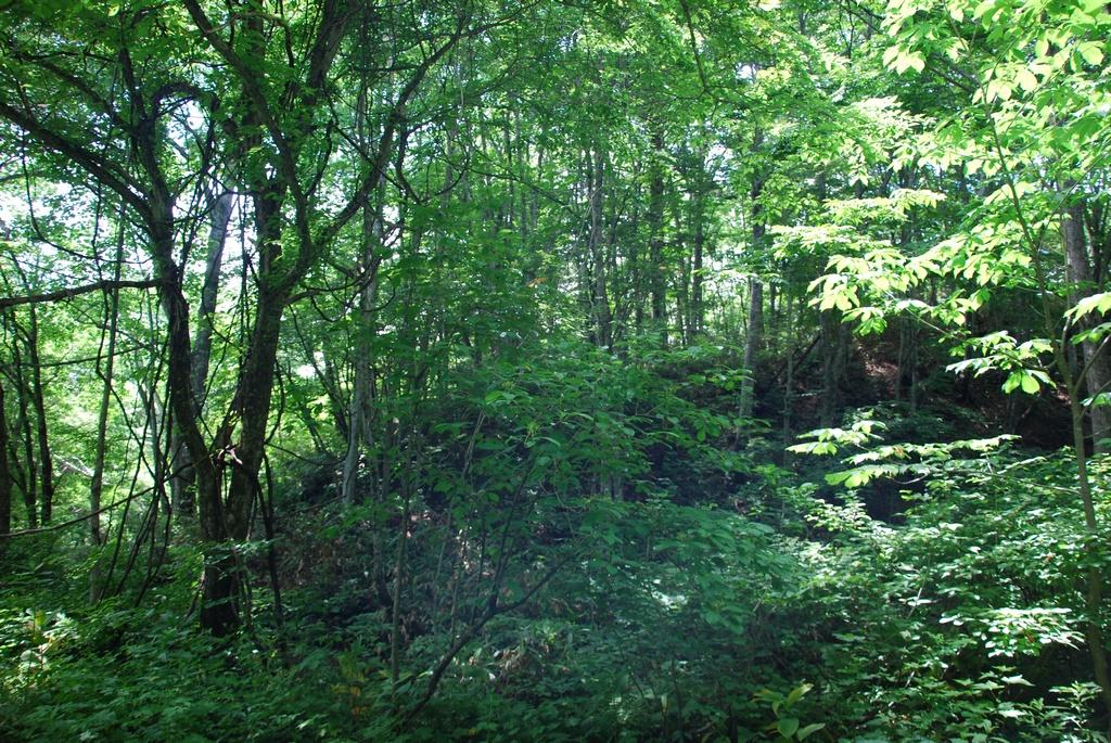 DSC_0675.JPG