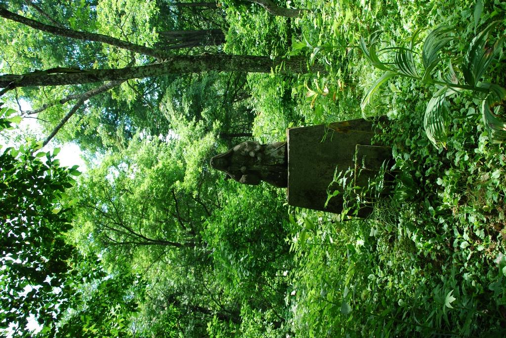 DSC_0676.JPG