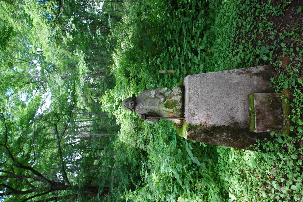 DSC_0673.JPG