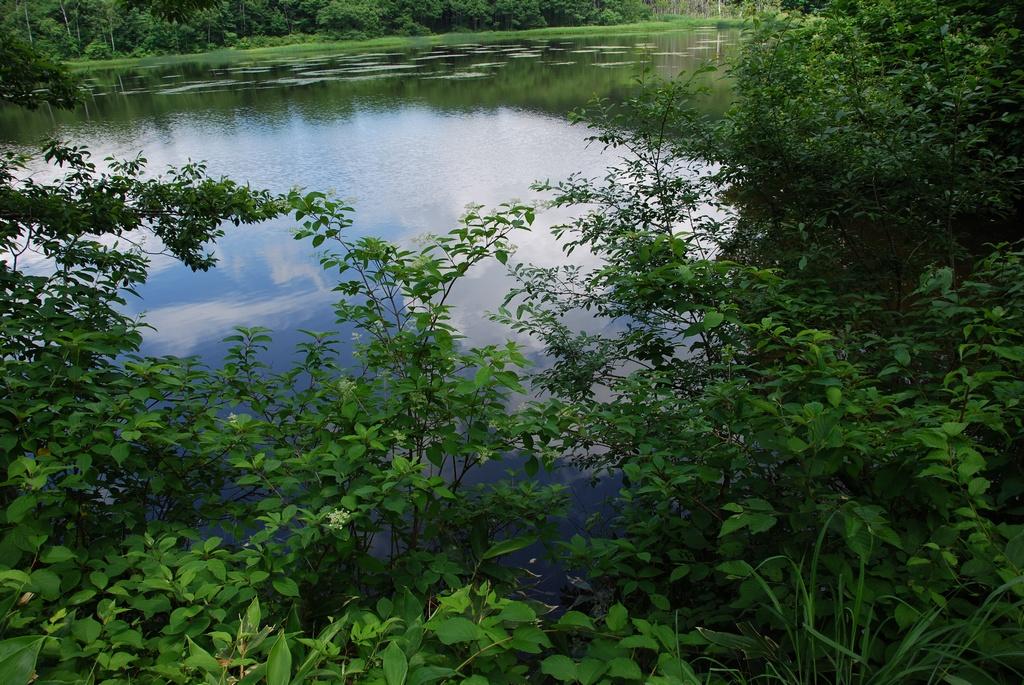 DSC_0684.JPG