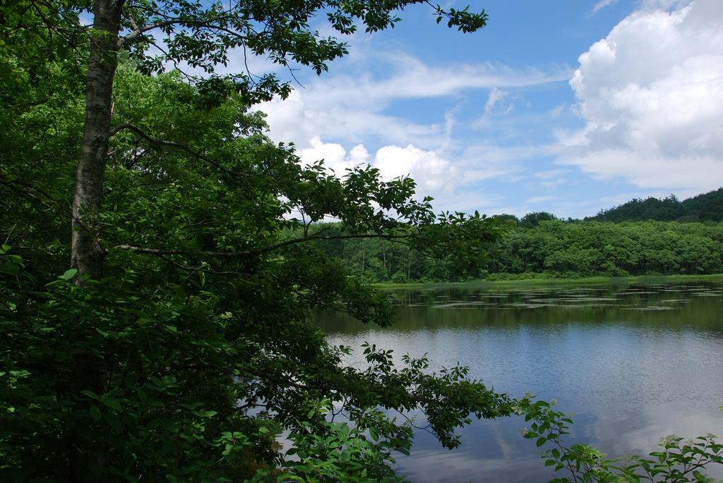 DSC_0689.JPG