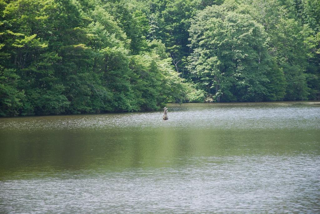 DSC_0696.JPG