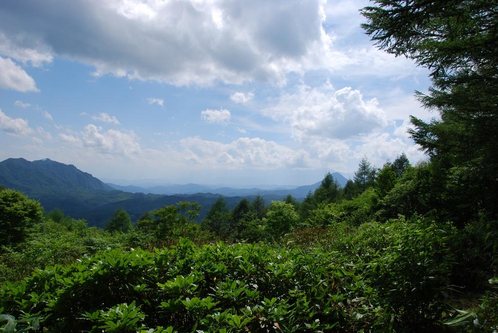 DSC_0714.JPG