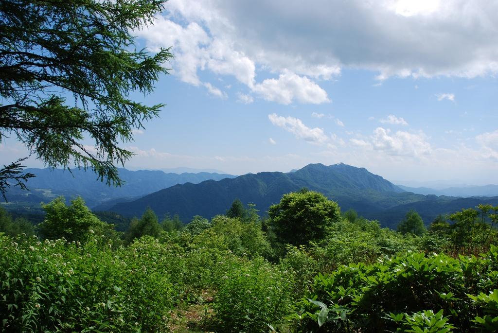 DSC_0715.JPG
