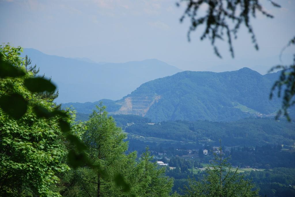 DSC_0719.JPG