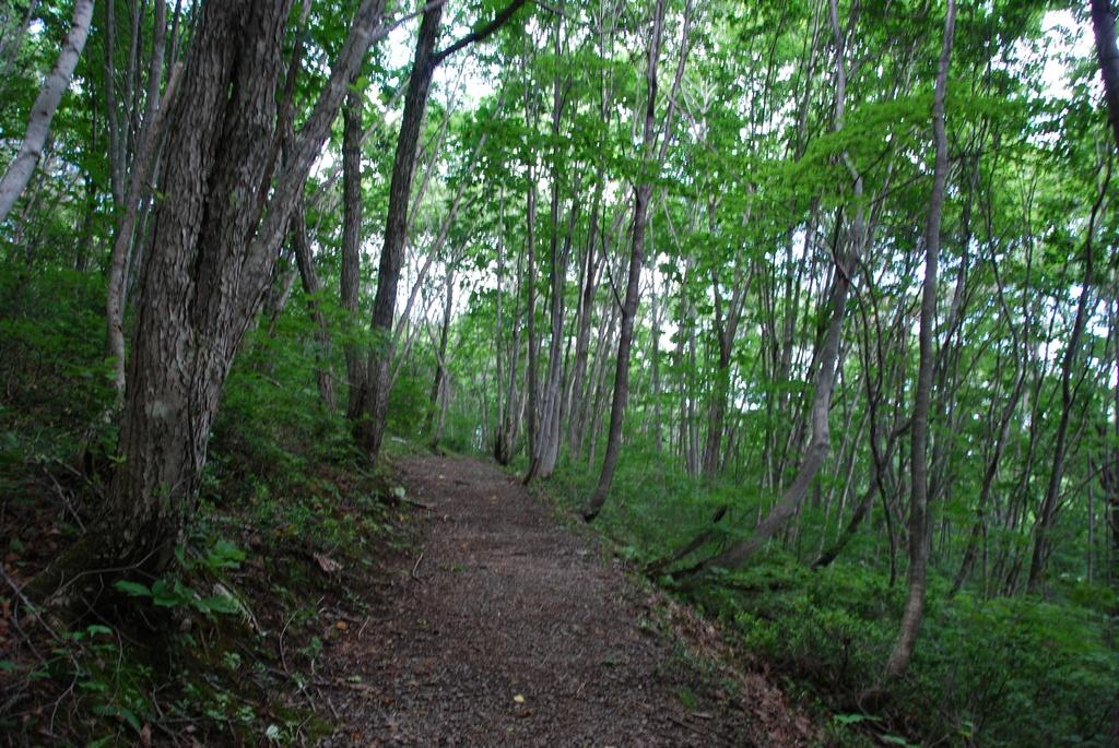 DSC_0710.JPG