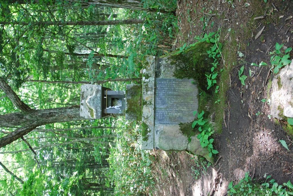 DSC_0725.JPG
