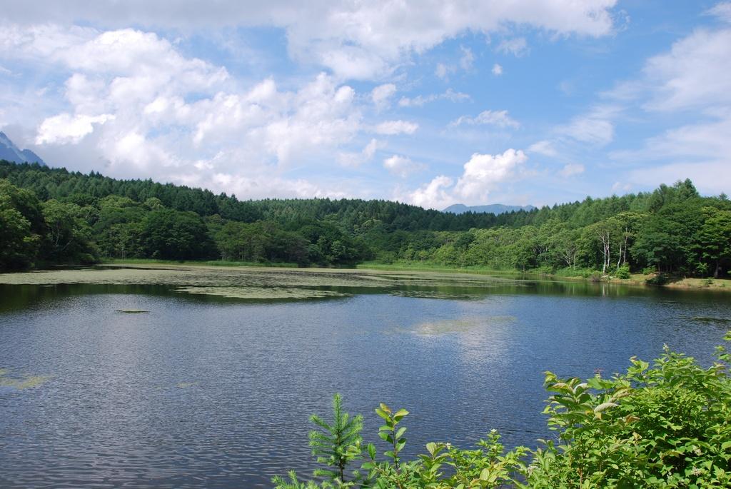 DSC_0727.JPG