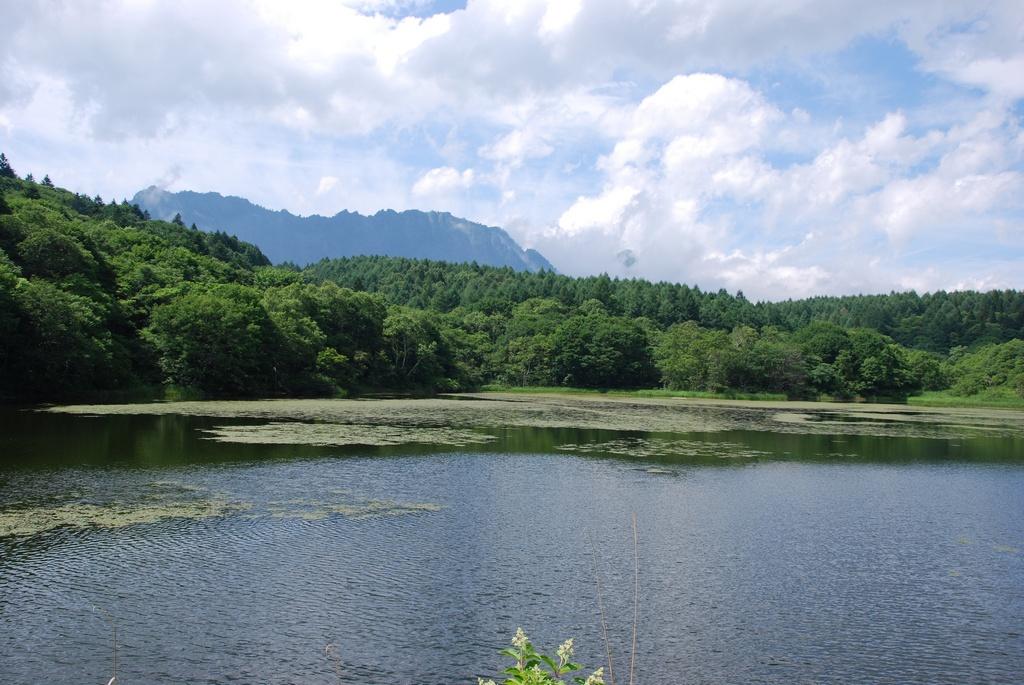 DSC_0729.JPG