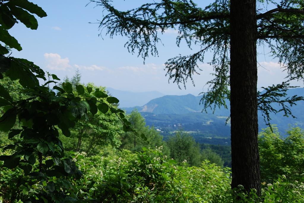 DSC_0720.JPG