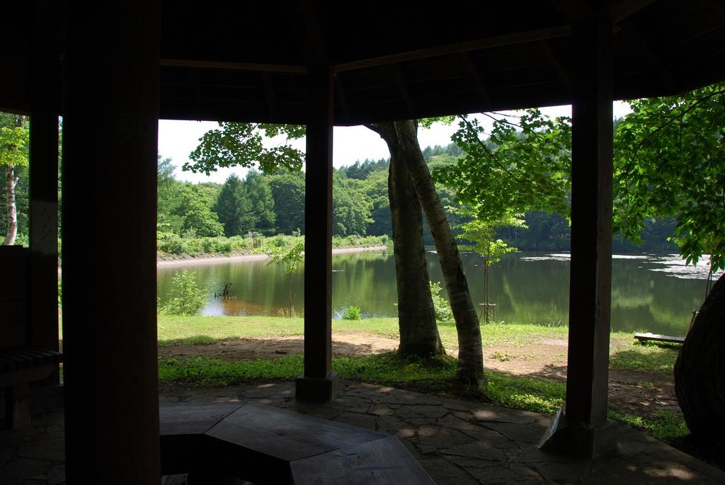 DSC_0737.JPG