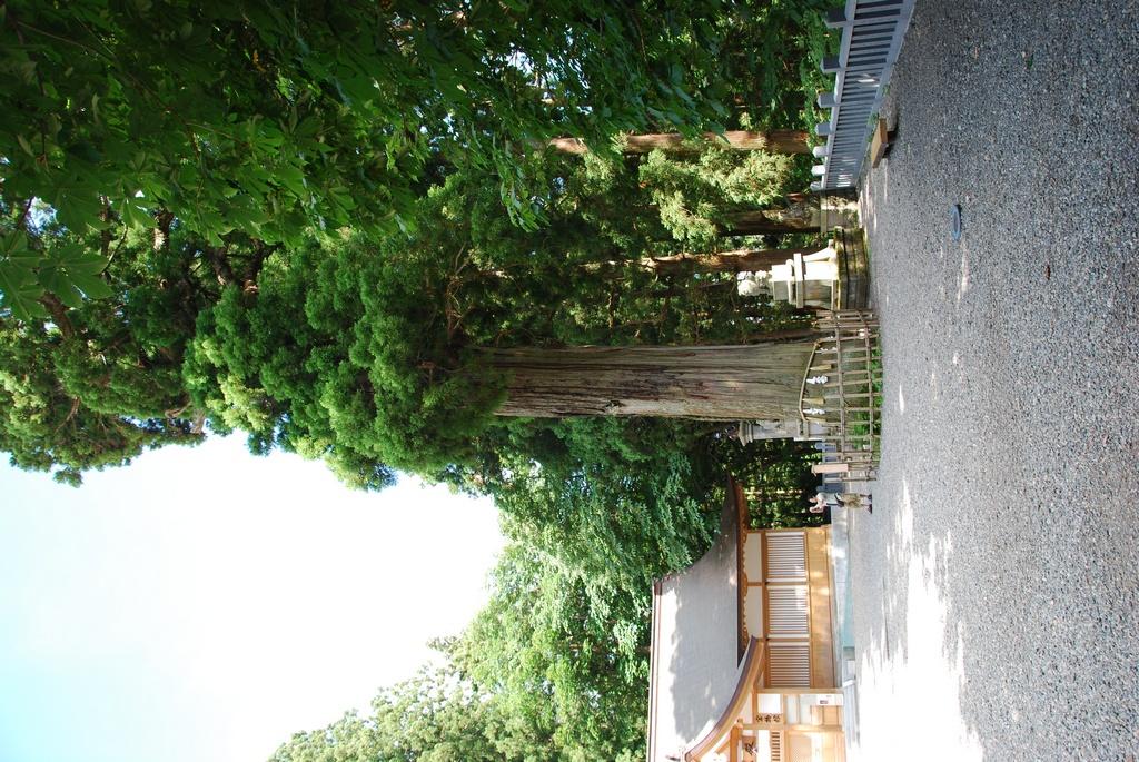 DSC_0746.JPG