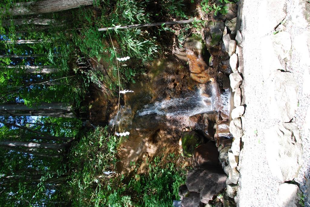 DSC_0756.JPG